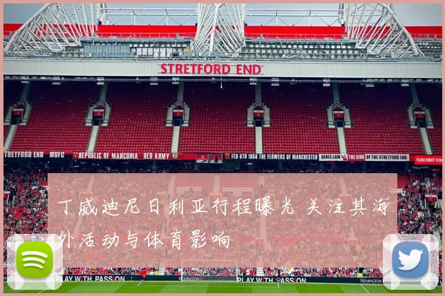 丁威迪尼日利亚行程曝光 关注其海外活动与体育影响