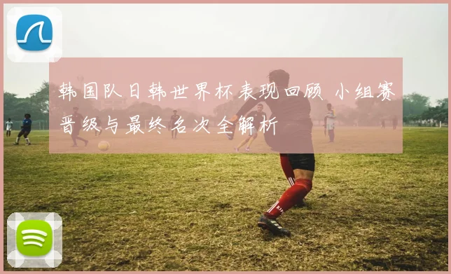 韩国队日韩世界杯表现回顾 小组赛晋级与最终名次全解析
