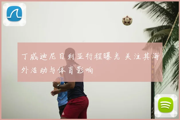 丁威迪尼日利亚行程曝光 关注其海外活动与体育影响