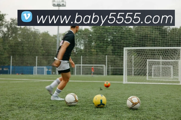 kaiyun开云平台生态图